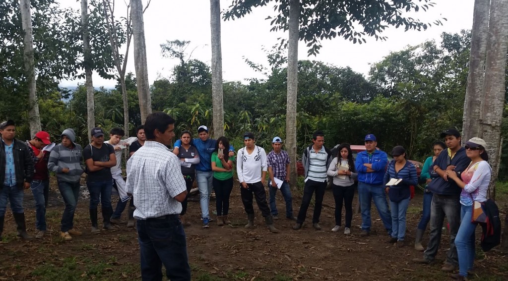 aprendizaje continuo forestal